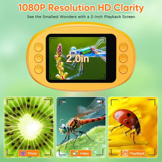 40a9493d-0133-4284-834f-415cafa48200