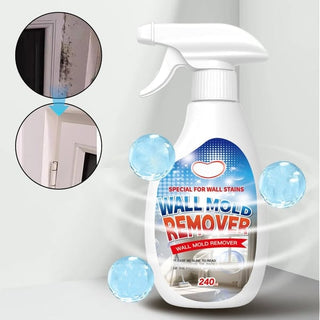 Fast Acting Anti-Mold Wall Cleaner Spray