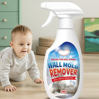 Fast Acting Anti-Mold Wall Cleaner Spray