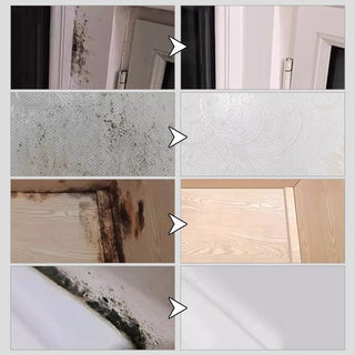 Fast Acting Anti-Mold Wall Cleaner Spray