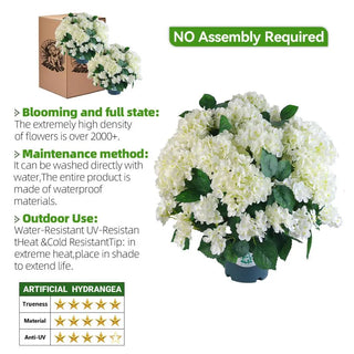 BloomEver – UV-Resistant Hydrangea Bush