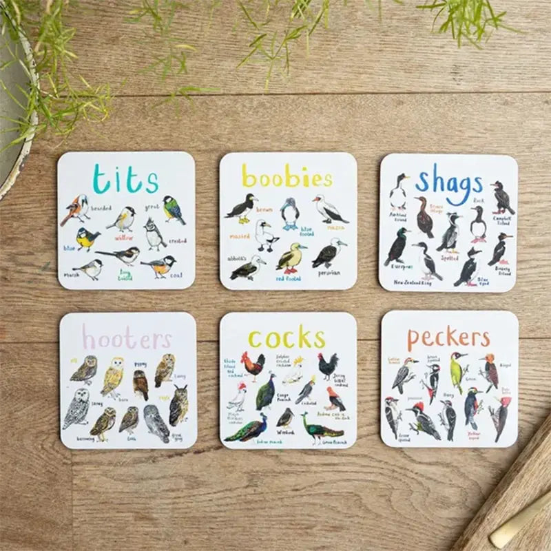 🐦Set of 6 Bird Pun Coasters Marnetic