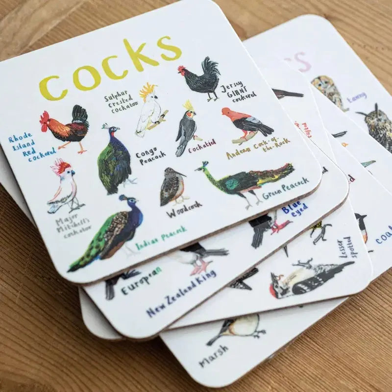 🐦Set of 6 Bird Pun Coasters Marnetic