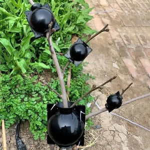 RootBox™ - Plant Root Growing Box pelvet