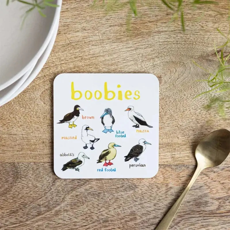 🐦Set of 6 Bird Pun Coasters Marnetic