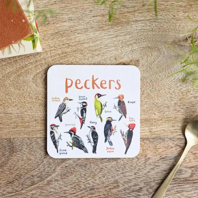 🐦Set of 6 Bird Pun Coasters Marnetic