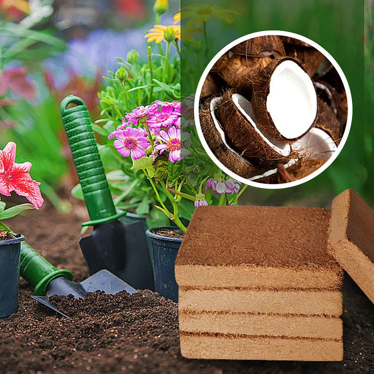 CocoBrick™ - Organic Coconut Coir for Plants
