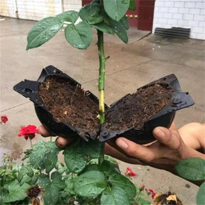 RootBox™ - Plant Root Growing Box pelvet