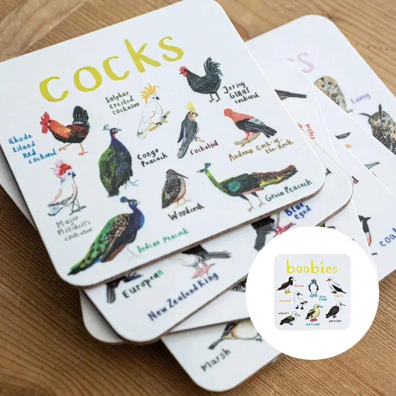 🐦Set of 6 Bird Pun Coasters Marnetic