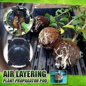 RootBox™ - Plant Root Growing Box pelvet