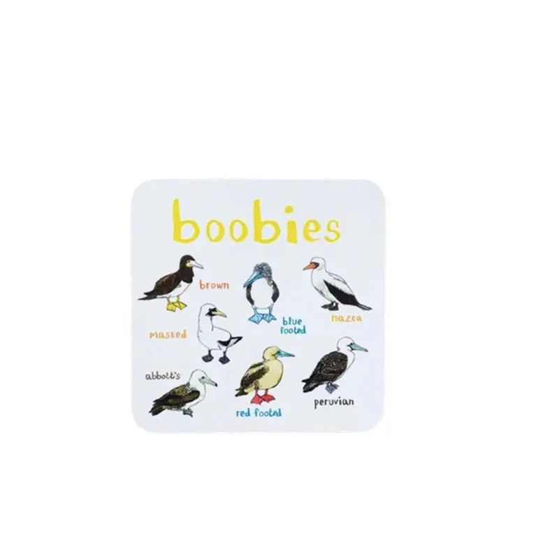 🐦Set of 6 Bird Pun Coasters Marnetic