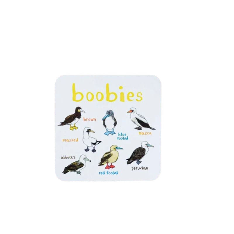 🐦Set of 6 Bird Pun Coasters