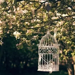 Plant Pulley Set For Garden Baskets Pots, Birds Feeder marnetic